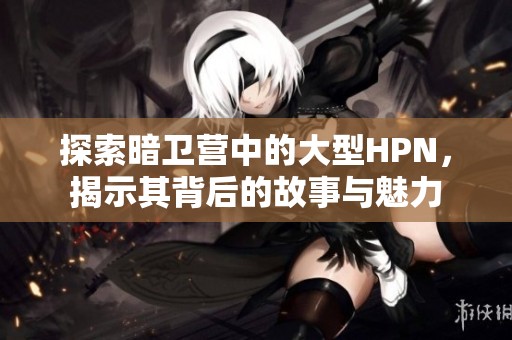 探索暗衛營中的大型HPN，揭示其背后的故事與魅力