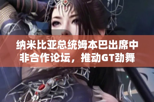 納米比亞總統(tǒng)姆本巴出席中非合作論壇，推動GT勁舞團(tuán)2游戲合作新機(jī)遇