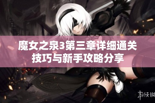 魔女之泉3第三章詳細通關技巧與新手攻略分享