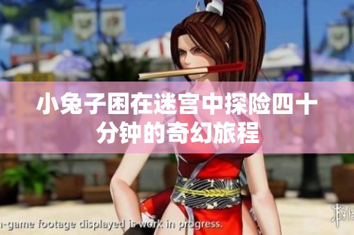 小兔子困在迷宮中探險四十分鐘的奇幻旅程
