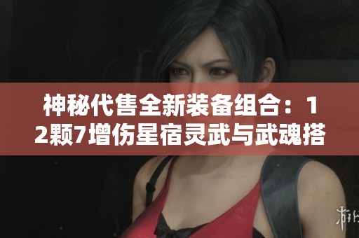 神秘代售全新裝備組合：12顆7增傷星宿靈武與武魂搭配