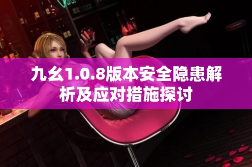 九幺1.0.8版本安全隱患解析及應對措施探討