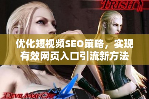 優(yōu)化短視頻SEO策略，實現(xiàn)有效網(wǎng)頁入口引流新方法