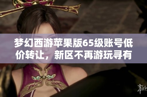 夢幻西游蘋果版65級賬號低價轉(zhuǎn)讓，新區(qū)不再游玩尋有緣人