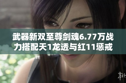 武器新雙至尊劍魂6.77萬戰力搭配天1龍透與紅11懲戒者紅10奶媽攻略