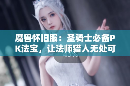 魔獸懷舊服：圣騎士必備PK法寶，讓法師獵人無處可逃
