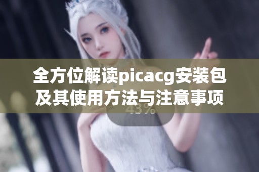 全方位解讀picacg安裝包及其使用方法與注意事項