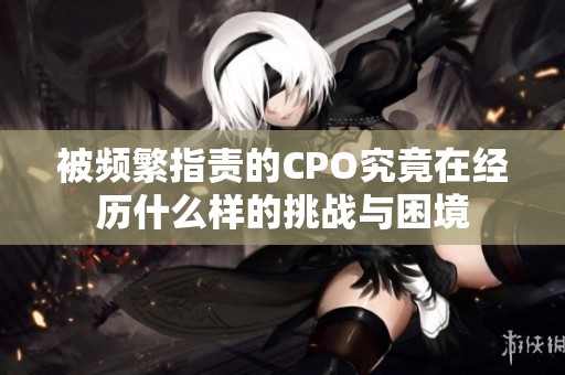 被頻繁指責的CPO究竟在經歷什么樣的挑戰與困境