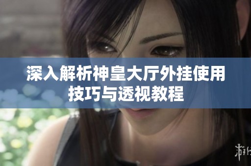 深入解析神皇大廳外掛使用技巧與透視教程
