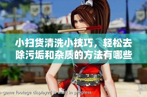 小掃貨清洗小技巧，輕松去除污垢和雜質的方法有哪些