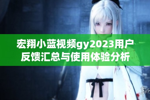 宏翔小藍視頻gy2023用戶反饋匯總與使用體驗分析