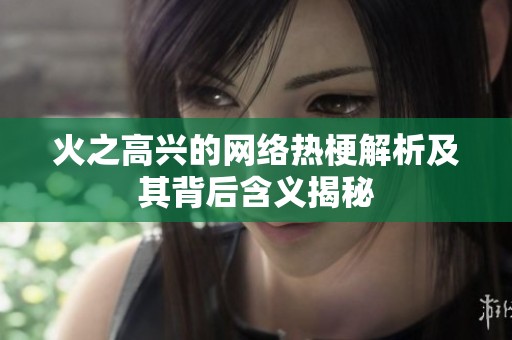 火之高興的網絡熱梗解析及其背后含義揭秘