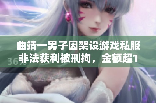 曲靖一男子因架設(shè)游戲私服非法獲利被刑拘，金額超13萬