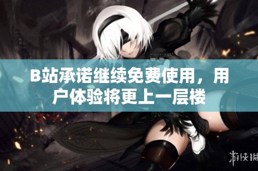 B站承諾繼續免費使用，用戶體驗將更上一層樓