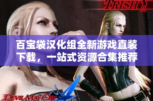 百寶袋漢化組全新游戲直裝下載，一站式資源合集推薦