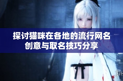 探討貓咪在各地的流行網名創(chuàng)意與取名技巧分享