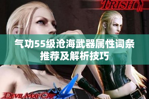 氣功55級滄海武器屬性詞條推薦及解析技巧