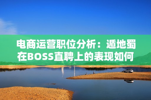 電商運(yùn)營職位分析：遁地蜀在BOSS直聘上的表現(xiàn)如何