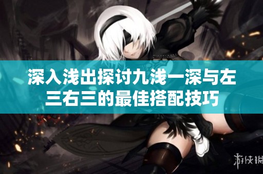 深入淺出探討九淺一深與左三右三的最佳搭配技巧