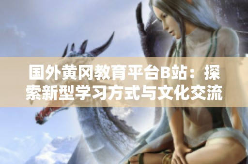 國外黃岡教育平臺B站：探索新型學習方式與文化交流