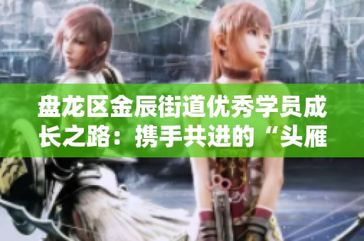 盤(pán)龍區(qū)金辰街道優(yōu)秀學(xué)員成長(zhǎng)之路：攜手共進(jìn)的“頭雁”引領(lǐng)故事