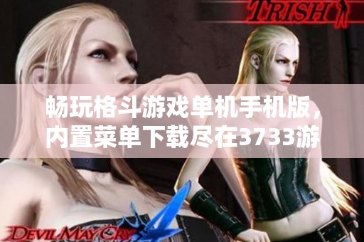 暢玩格斗游戲單機手機版，內置菜單下載盡在3733游戲