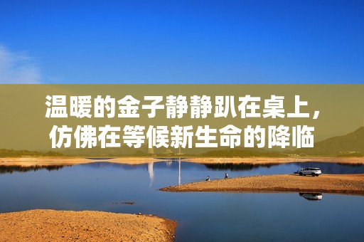 溫暖的金子靜靜趴在桌上，仿佛在等候新生命的降臨
