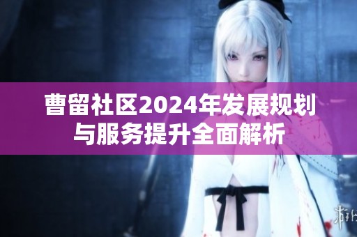 曹留社區2024年發展規劃與服務提升全面解析