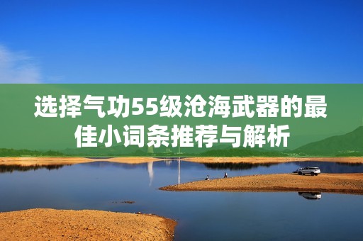 選擇氣功55級滄海武器的最佳小詞條推薦與解析