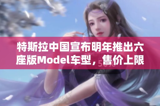 特斯拉中國宣布明年推出六座版Model車型，售價上限200萬元