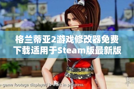 格蘭蒂亞2游戲修改器免費下載適用于Steam版最新版本