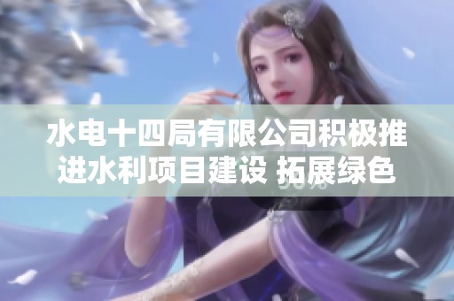 水電十四局有限公司積極推進水利項目建設 拓展綠色能源發展新局面