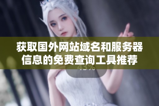 獲取國外網(wǎng)站域名和服務(wù)器信息的免費查詢工具推薦