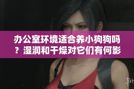 辦公室環境適合養小狗狗嗎？濕潤和干燥對它們有何影響