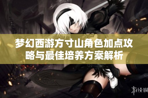 夢幻西游方寸山角色加點攻略與最佳培養方案解析