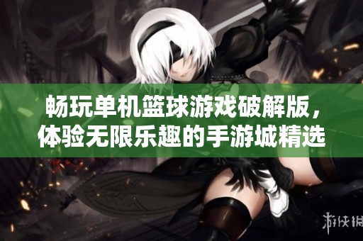暢玩單機籃球游戲破解版，體驗無限樂趣的手游城精選推薦