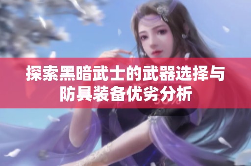 探索黑暗武士的武器選擇與防具裝備優劣分析