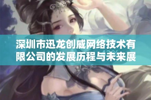 深圳市迅龍創威網絡技術有限公司的發展歷程與未來展望分析