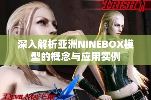深入解析亞洲NINEBOX模型的概念與應(yīng)用實例