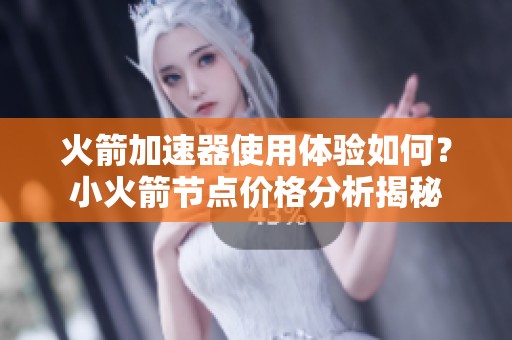 火箭加速器使用體驗如何？小火箭節點價格分析揭秘