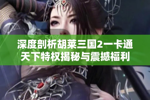 深度剖析胡萊三國(guó)2一卡通天下特權(quán)揭秘與震撼福利