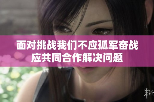 面對挑戰(zhàn)我們不應孤軍奮戰(zhàn)應共同合作解決問題