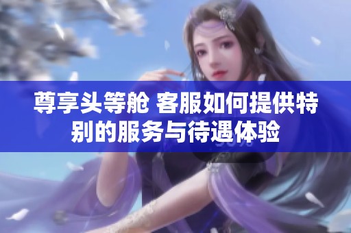 尊享頭等艙 客服如何提供特別的服務與待遇體驗