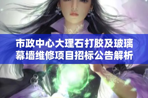 市政中心大理石打膠及玻璃幕墻維修項目招標公告解析