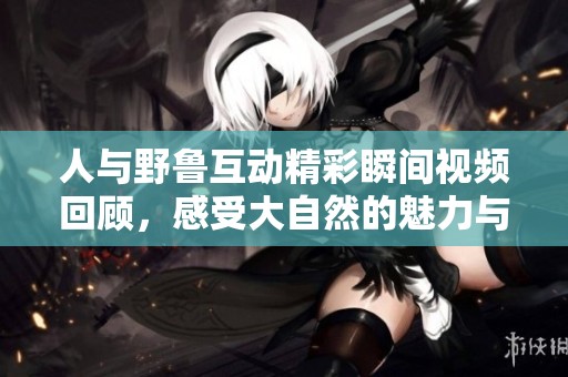 人與野魯互動精彩瞬間視頻回顧，感受大自然的魅力與生命的奇妙