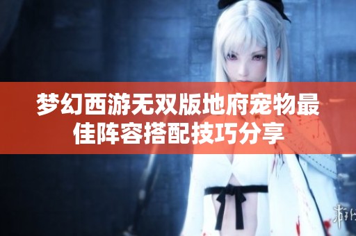 夢(mèng)幻西游無(wú)雙版地府寵物最佳陣容搭配技巧分享